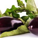 바나나 짐 이미지