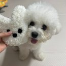 투투미용실 | 강남터프팅공방 얀공방 1호점 아우어울 미니러그클래스 후기