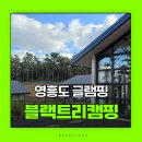 세탁쇼인천시어터점 | 서울근교글램핑 블랙트리캠핑 영흥도 독채 펜션 후기