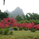 재송여자중학교 이미지