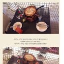 오리지널시카고피자 이미지