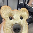 동그랗개 이미지