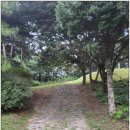 영창빌딩 | 조선왕릉 탐방 46편 : 선조의 유일한 적자(嫡子)인 비운의 왕자, 영창대군(永昌大君) 묘 탐방