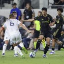 비자인조구장 이미지