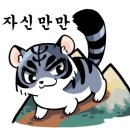브이아이피디테일링 이미지