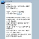오키서키투어(Mario Travel Agency) 이미지