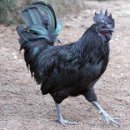 (주)지산농원 이미지