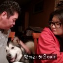태산에너지 이미지