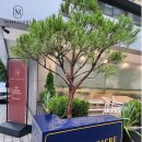 강남결혼상담소 이미지