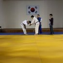 파라에스트라