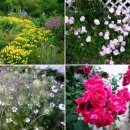 내고향구판장 | [지리산 악양면] 악양살이 스무날-매실 따기 알바 2014.5.31~6.18(18/19)
