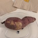 오브니ofni 이미지