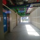 일산호수공원 가로수길 이미지