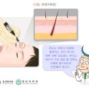 대한반영구화장의학회