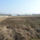 화산면512 이미지