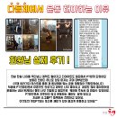 다듬체 이미지