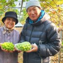 우리청과 이미지