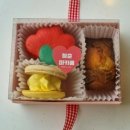 청춘마카롱 이미지