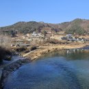 홍천1교 Daum카페