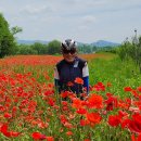 정*원 - 안양시 동안구 귀인로172번길 | 정*원