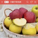 태산농원 이미지