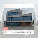 포항 7번 국도 오션뷰 카페 스타벅스 화진해수욕장점 테라스 루프탑