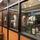 독핏코리아 이미지