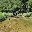 도수암계곡 이미지