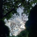 양주중학교 이미지