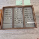 소나무와 호수 | 서울 공방 데이트 아뜰리에호수 홍대 커플링 만들기 솔직후기