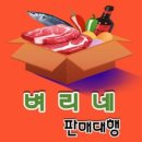 새하가온 이미지