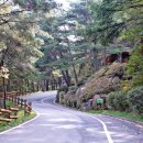 성주봉자연휴양림 이미지