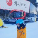 스키911 이미지