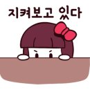 쌍떼365 이미지