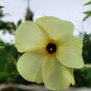 농업회사법인 꽃과사람주식회사 이미지