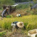 현각농장 이미지