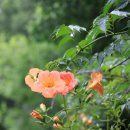 김봉호가옥 이미지