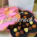 중요한 날 선물하기 좋은 고급 초콜릿🍫 레더라 파르나스몰점 후기