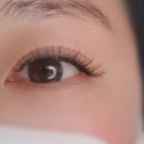펄아이래쉬