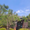 노상치킨 이미지