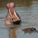 한서한의원 이미지