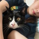 고봉민김밥(동구청점) 이미지