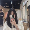선진라이트 이미지
