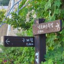 남호민박 | 영덕 한적한 스노클링 포인트 추천 (구계항 ~ 남호해수욕장)