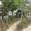 치평초교 이미지