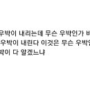 Re: 미래에는 소리 소문 없는 돌 우박 비가 온다 그래서 모든 생명체를 전멸시킨다 알겠느냐 이미지