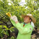 창원레포츠파크 노동조합 이미지