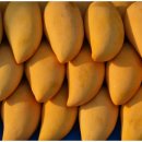 종합화장품 이미지