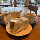 신강상회 | 할로윈을 지나 진짜 가을 🍁🍂