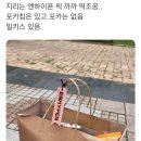 가오건강원